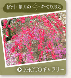 信州・望月の今を切り取る