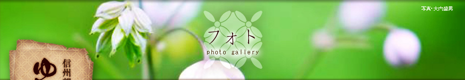 温泉